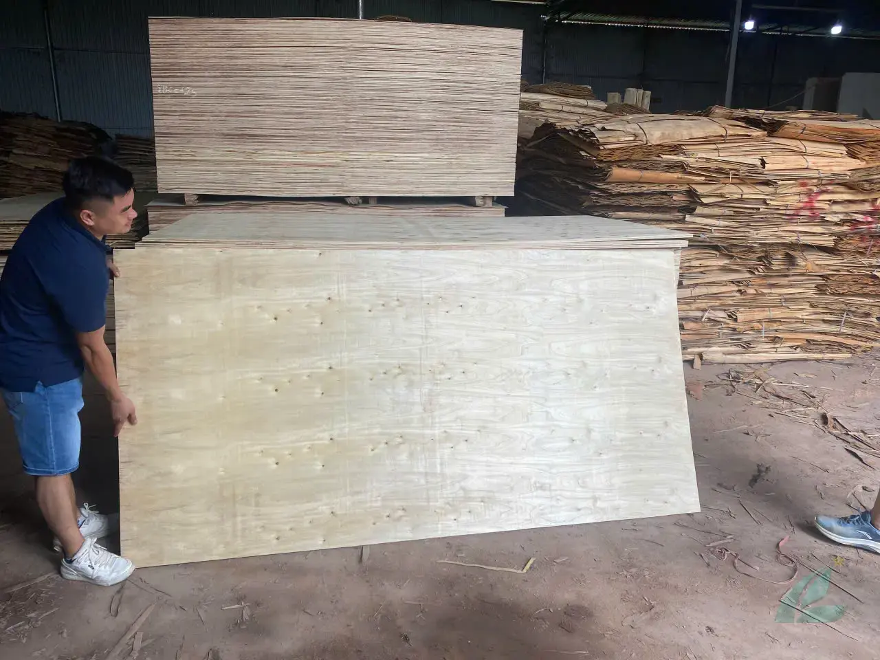 Packing plywood Vietnam HCPLY ISPM 15 fumigation heat treatment export ready