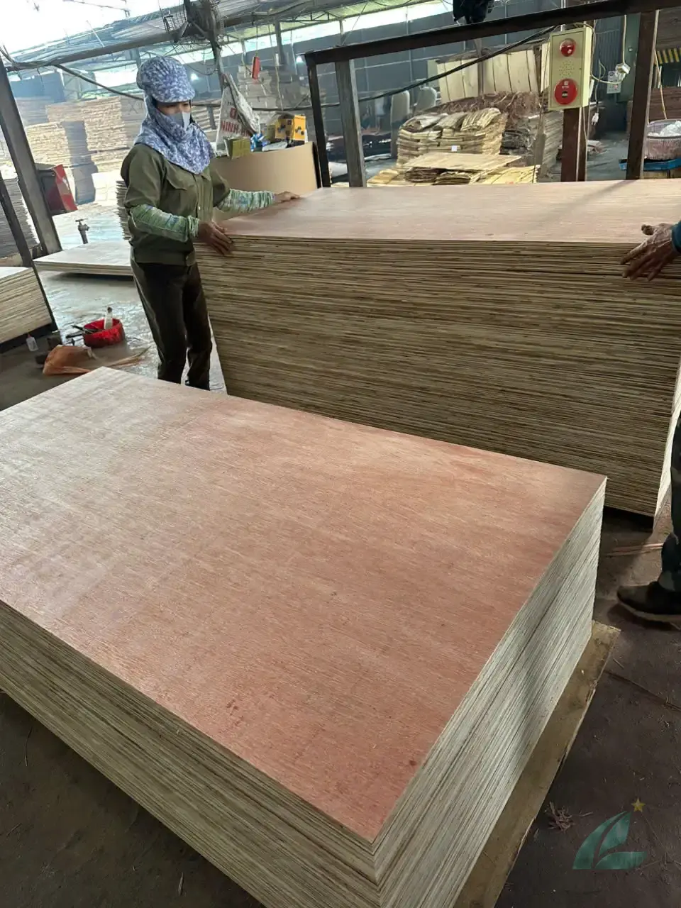 Packing plywood Vietnam export production HCPLY