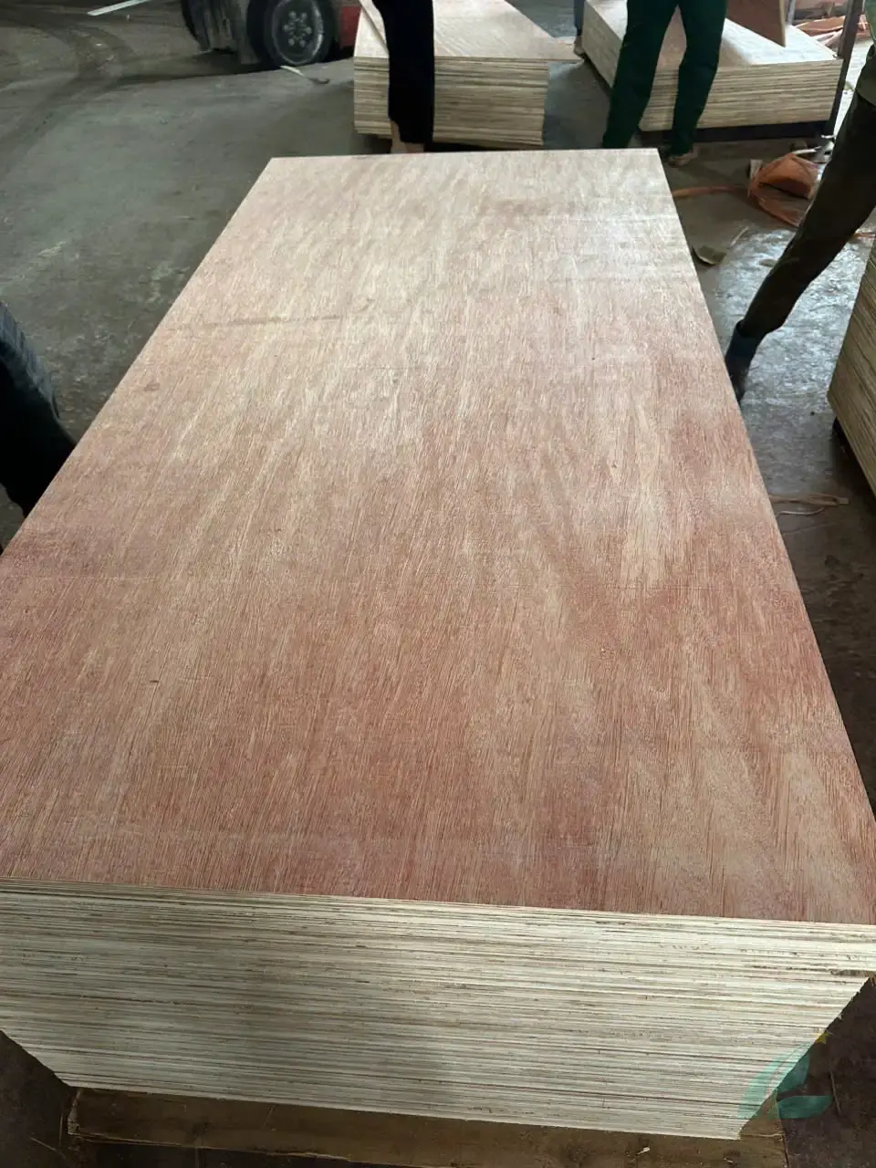 Packing plywood Vietnam factory export grade panels quality check HCPLY