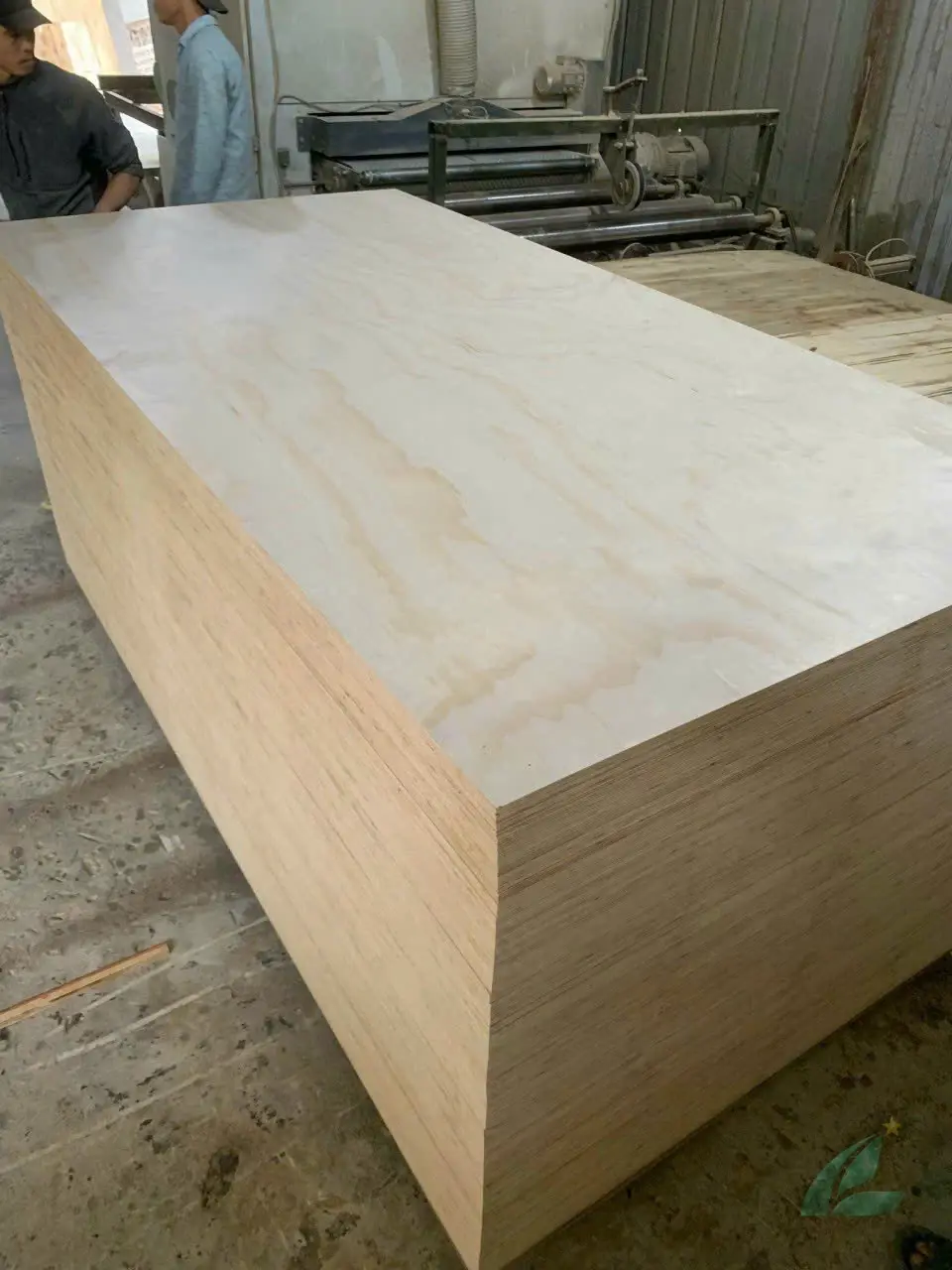 Pine plywood Vietnam for kitchen cabinet frames HCPLY export