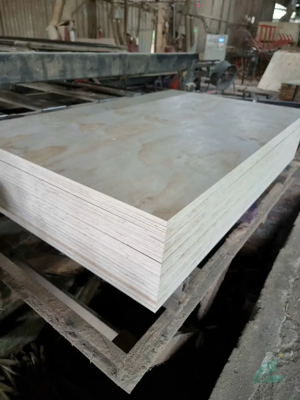 Pine Plywood vietnam plywood furniture hcply