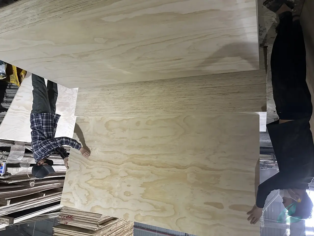 Pine plywood structural grade — Vietnam export factory HCPLY Phu Tho northern production