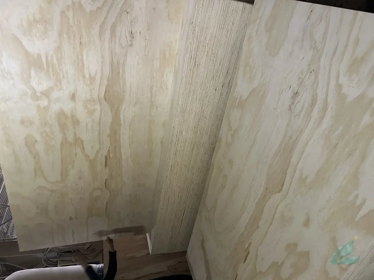 Pine Plywood Vietnam — HCPLY