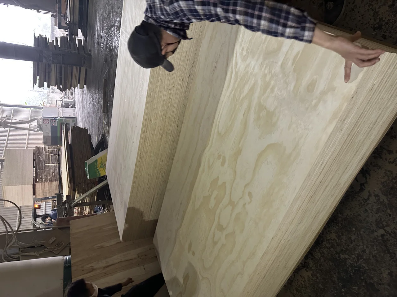 Pine plywood Vietnam softwood core export hcply 019
