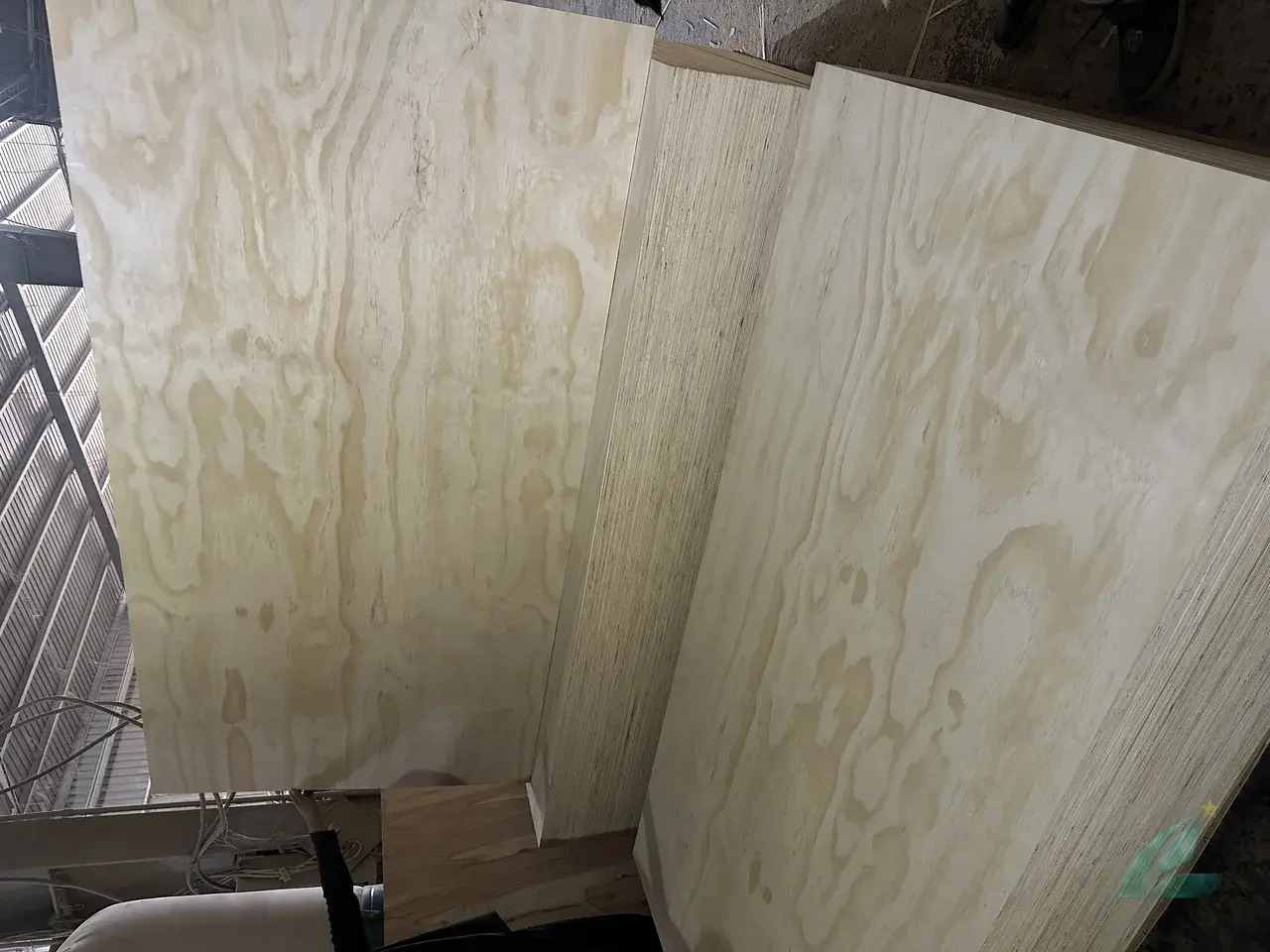 Pine plywood Vietnam softwood core export hcply 020
