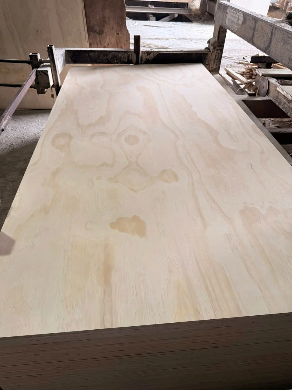 Pine plywood Vietnam softwood core export hcply 023