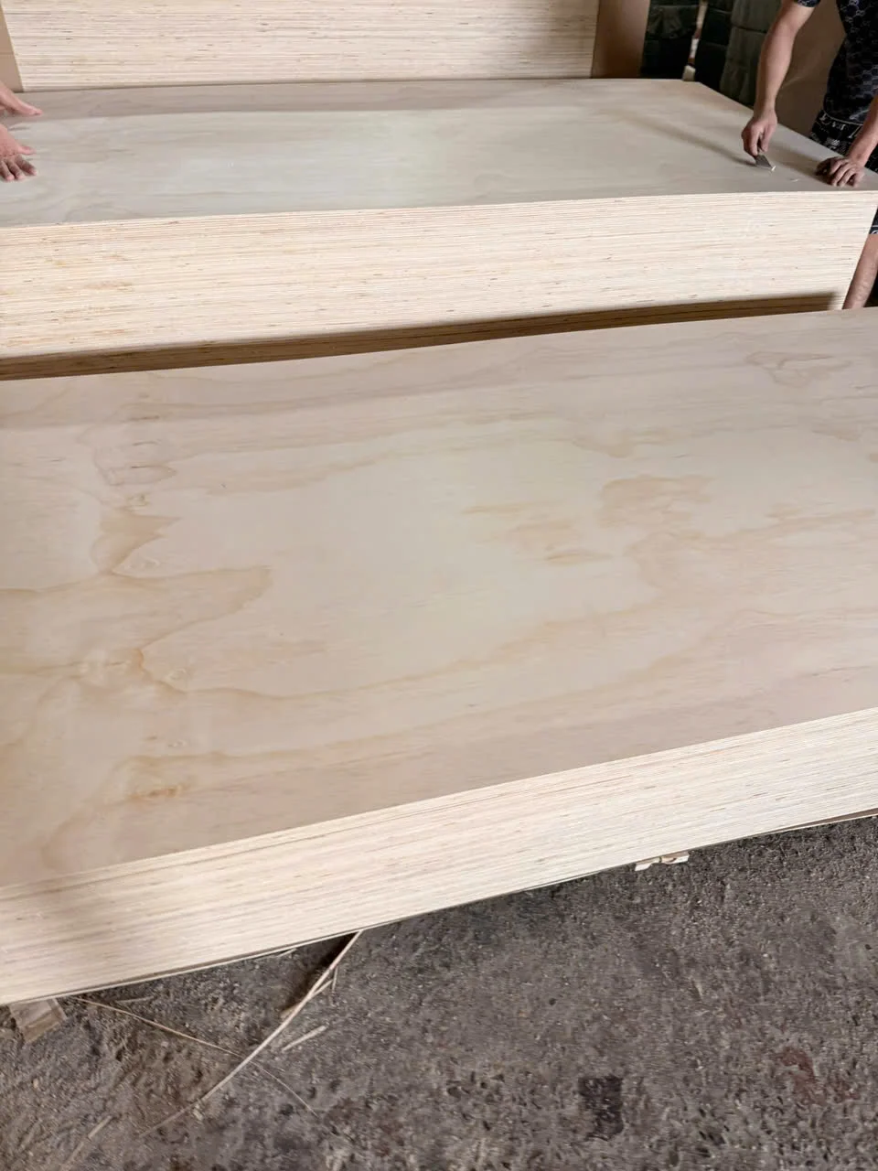 Pine plywood Vietnam softwood core export hcply 028