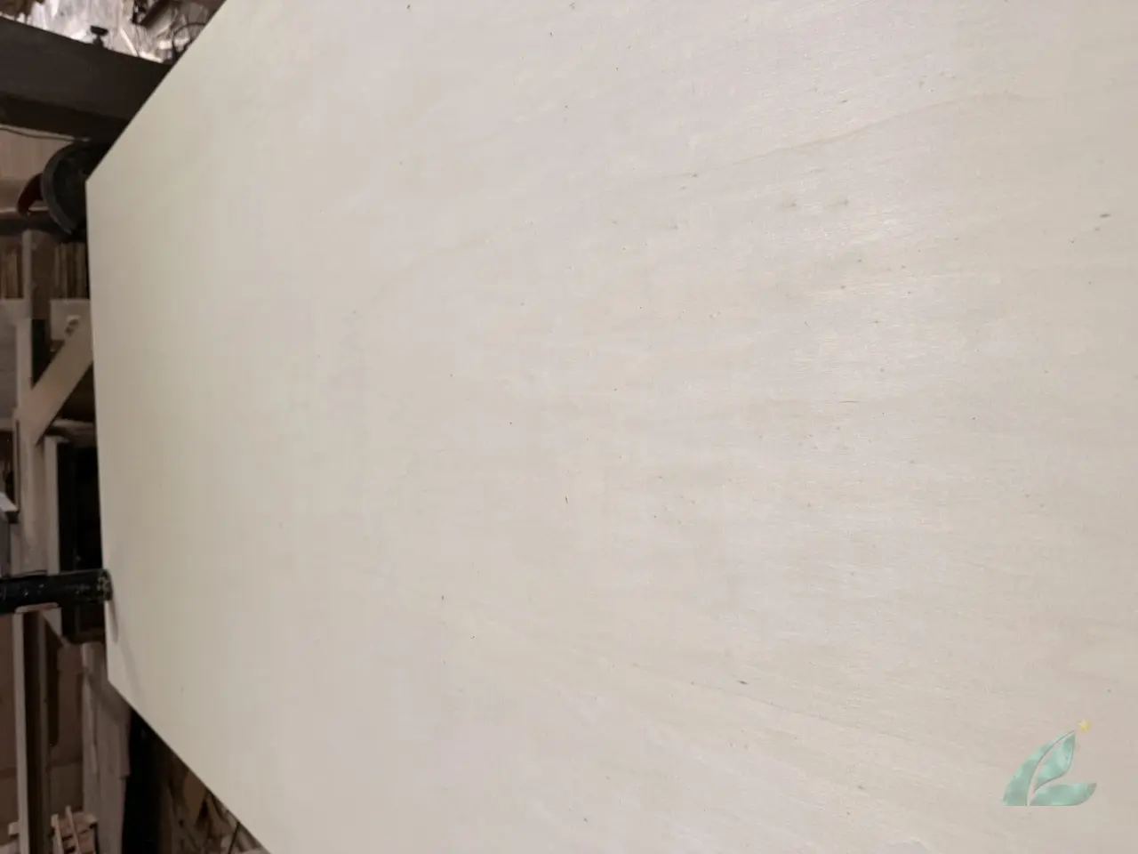 Pine plywood Vietnam softwood core export hcply 029