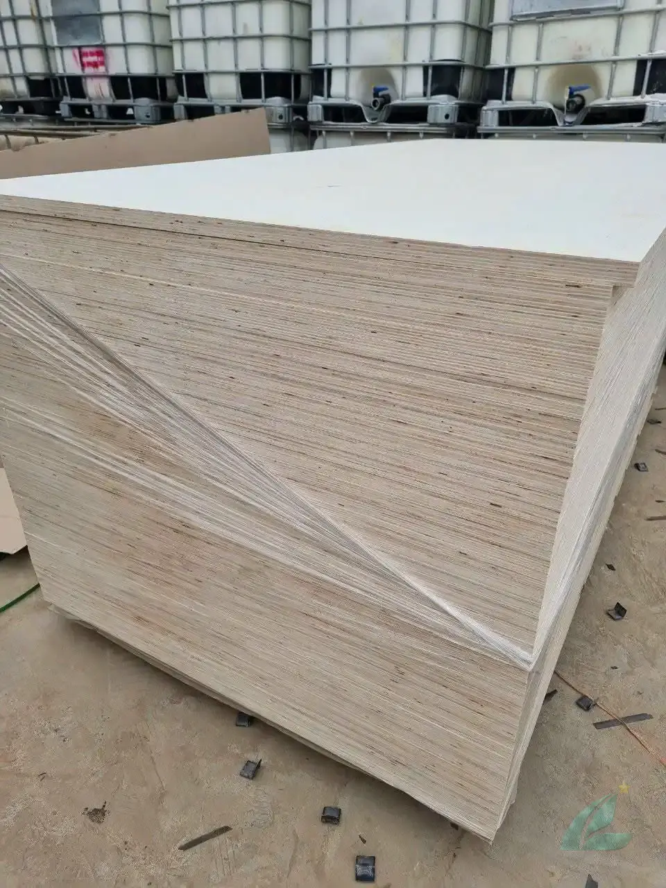 full poplar core plywood vietnam white core cross section hcply factory