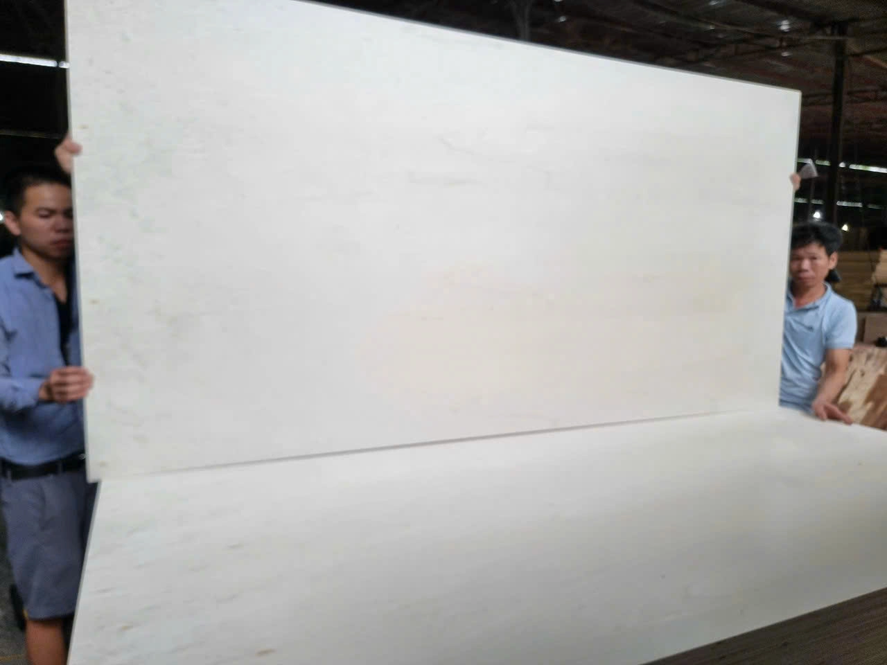 Poplar plywood Vietnam white core export hcply 002
