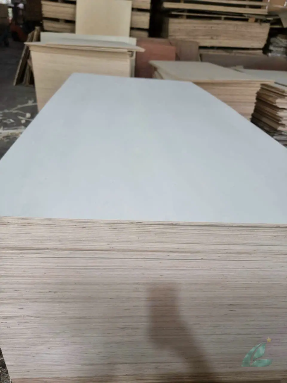 Poplar plywood white core Vietnam packaging export HCPLY