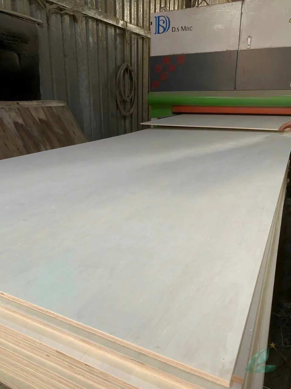 Poplar plywood Vietnam white core export hcply 006