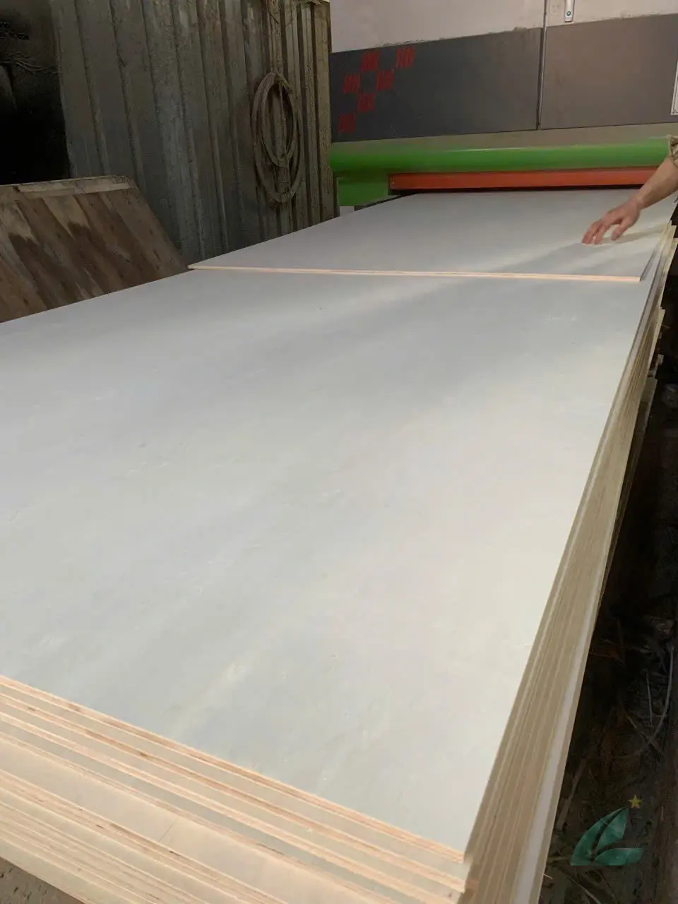 Poplar plywood Vietnam white core export hcply 011