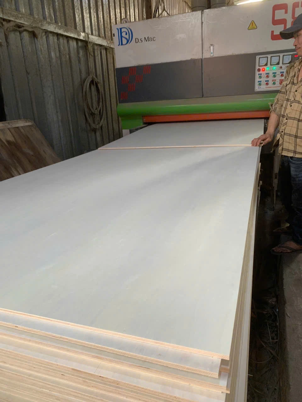 Poplar plywood Vietnam white core export hcply 012