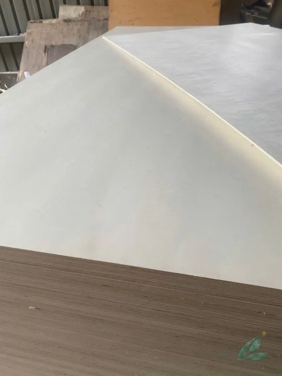 Poplar Plywood Vietnam — HCPLY