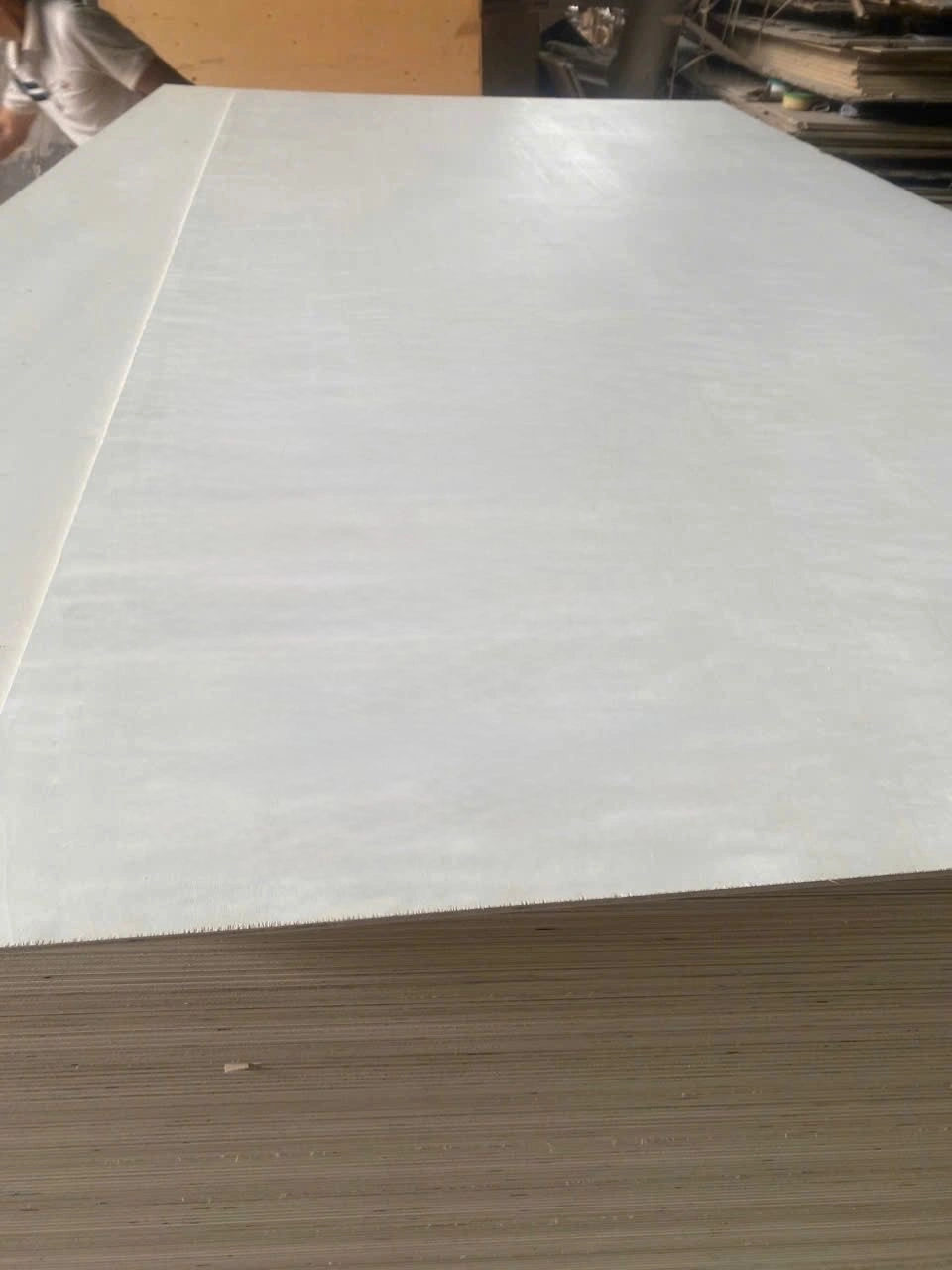 Poplar plywood Vietnam white core export hcply 019