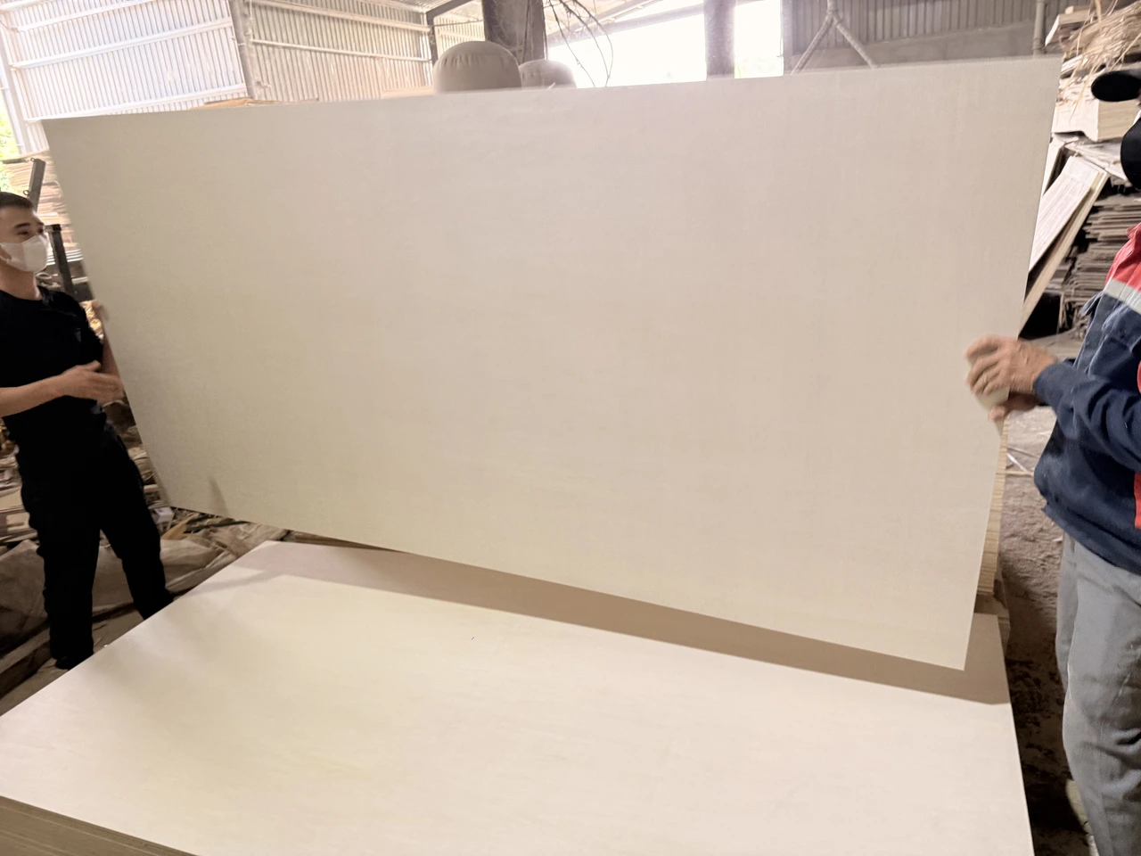 Poplar plywood Vietnam white core export hcply 028