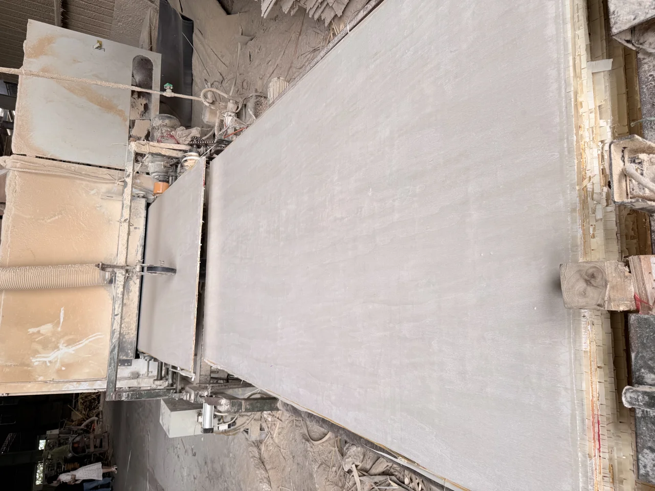 Poplar plywood Vietnam white core export hcply 031