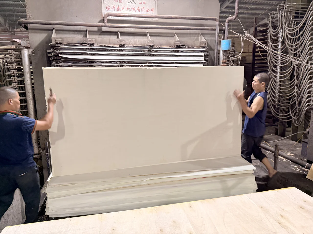 Poplar plywood Vietnam white core export hcply 032