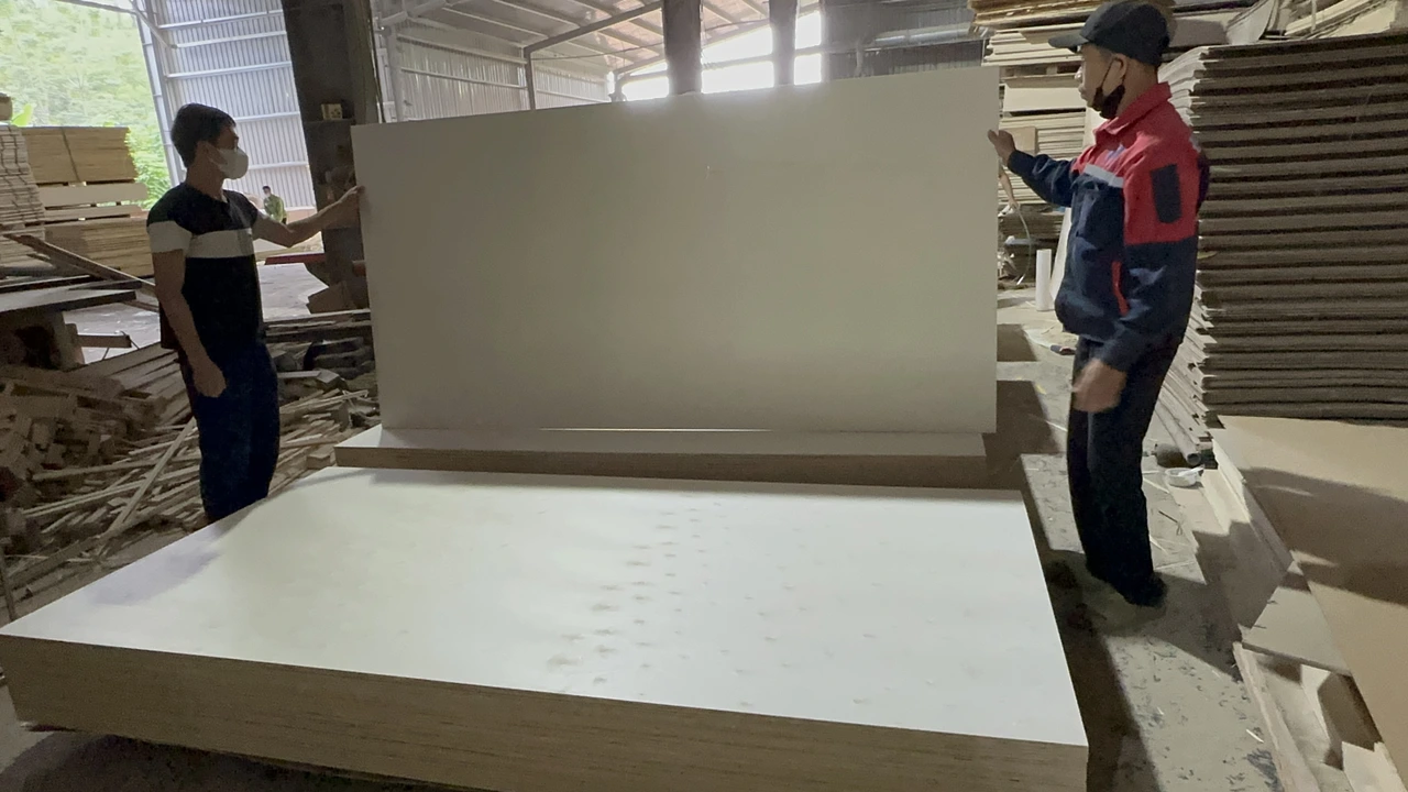 Poplar plywood Vietnam white core export hcply 035