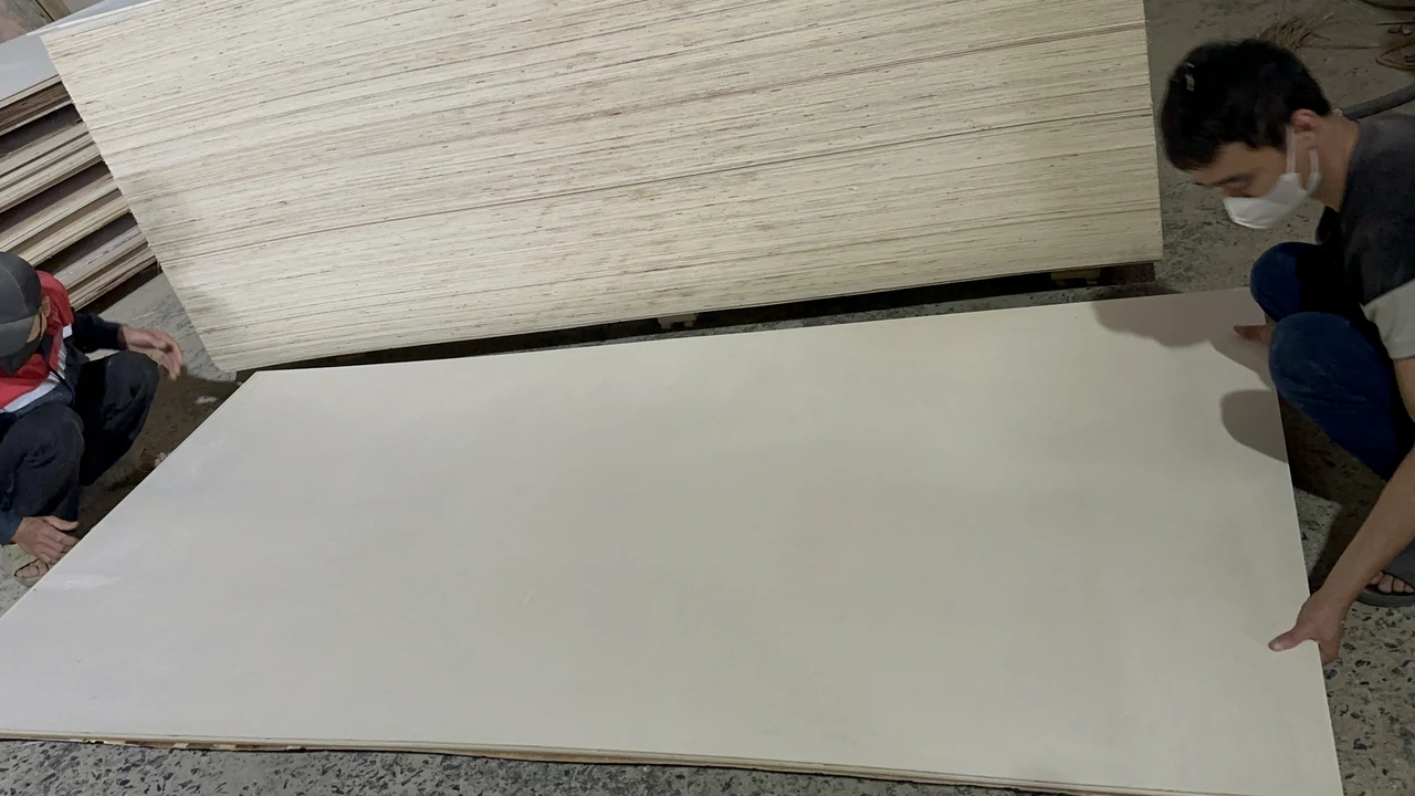 Poplar plywood Vietnam white core export hcply 039