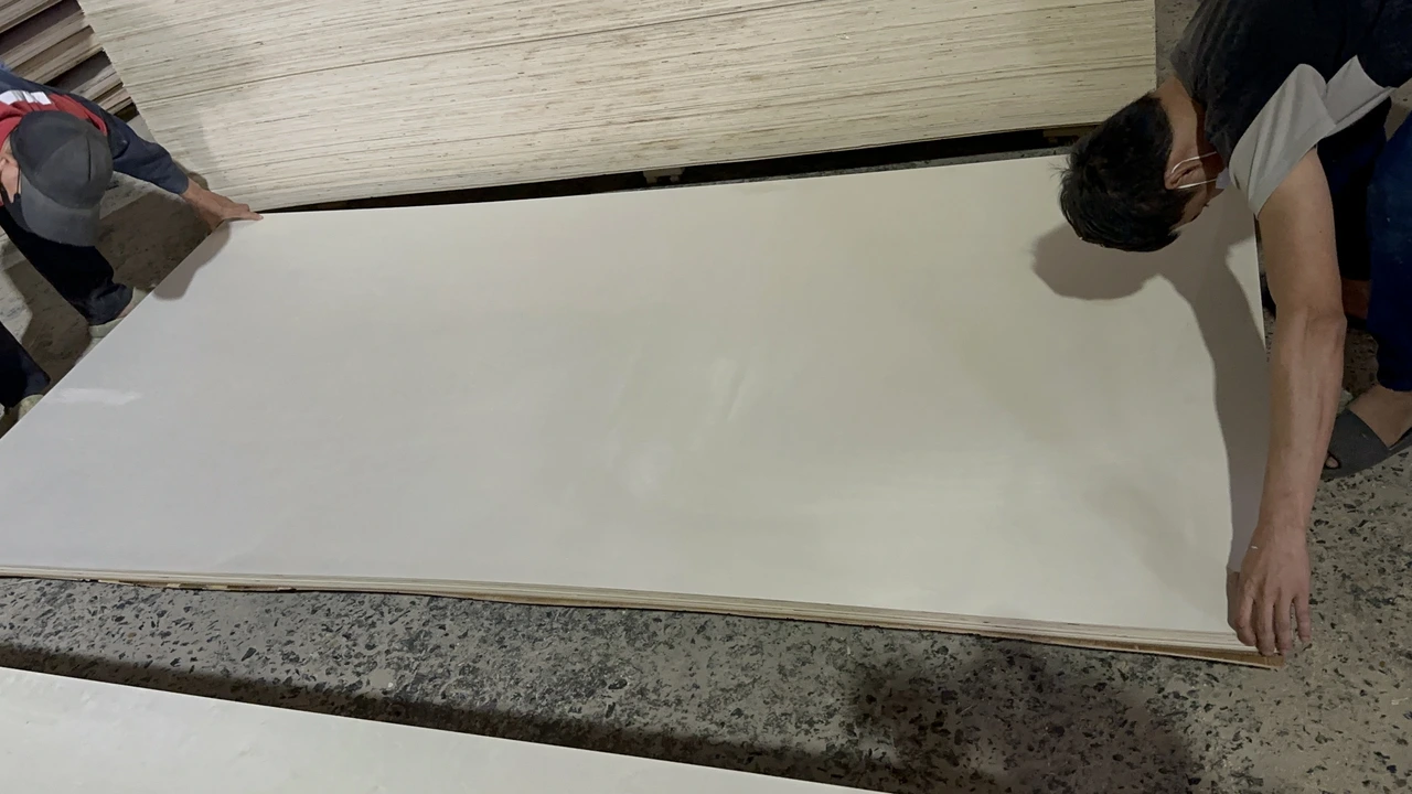 Poplar plywood Vietnam white core export hcply 041