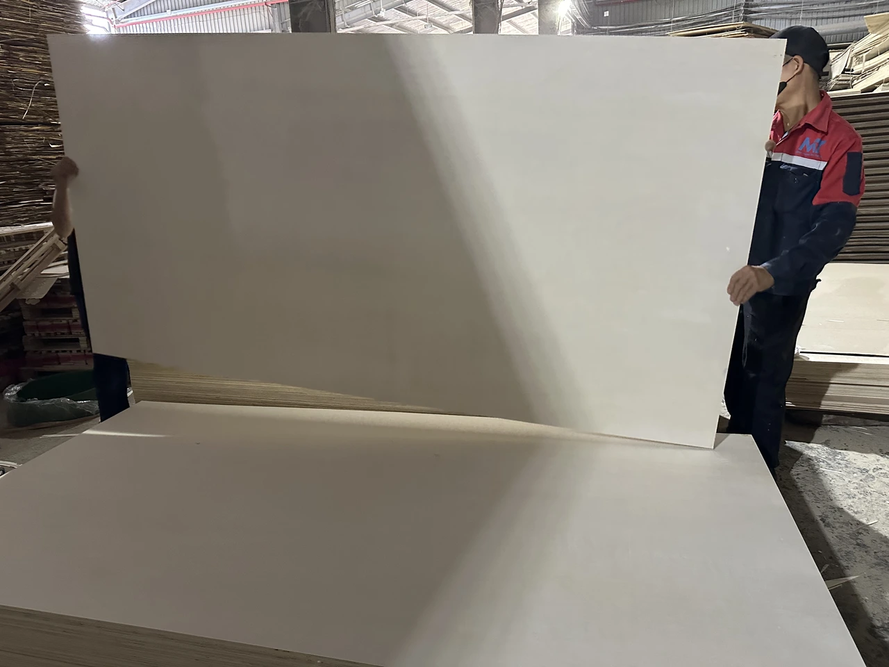 poplar vs birch vs okoume face veneer plywood comparison hcply vietnam factory