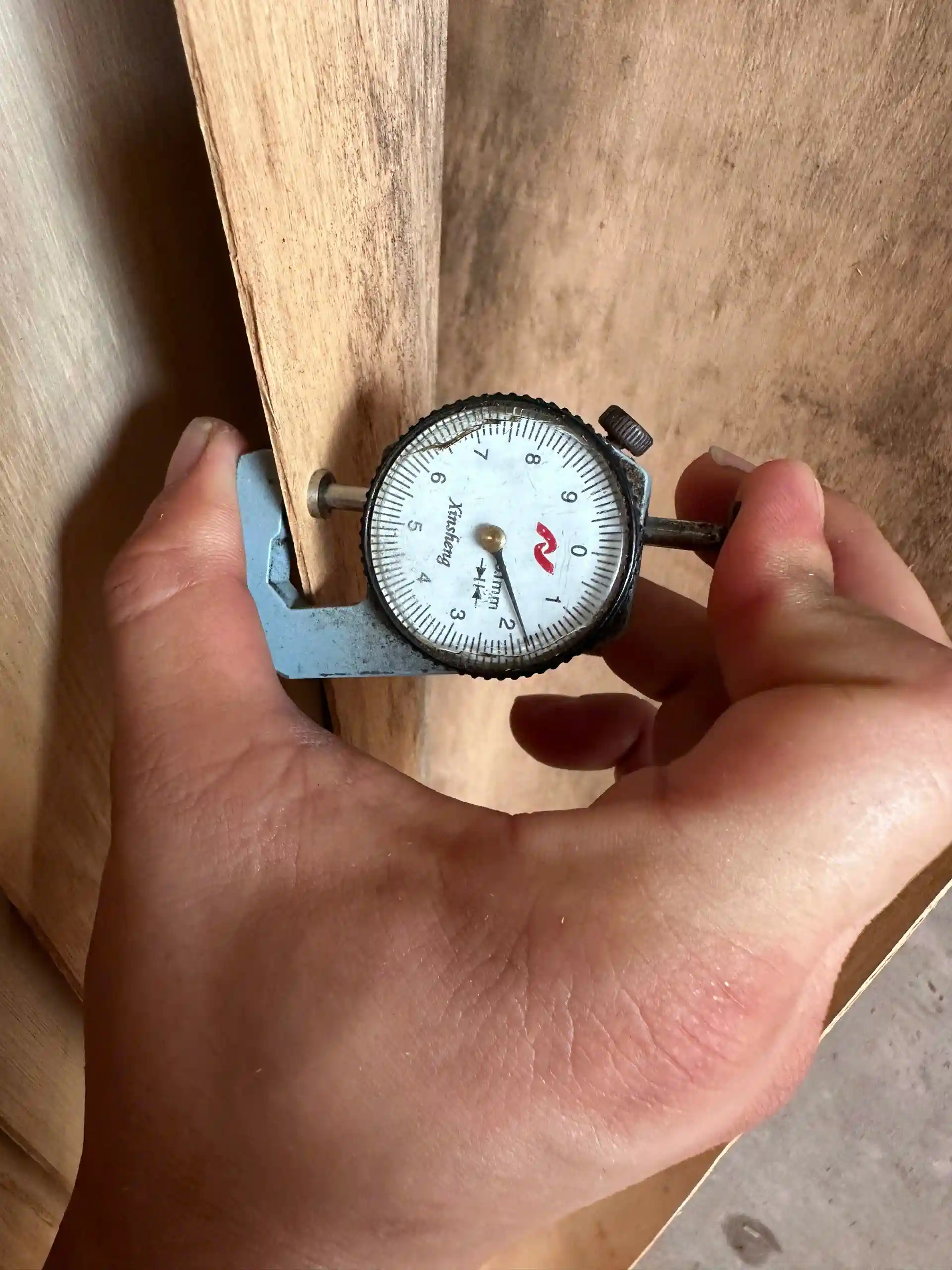 Plywood QC edge inspection — plywood edge quality inspection export standard HCPLY Vietnam factory