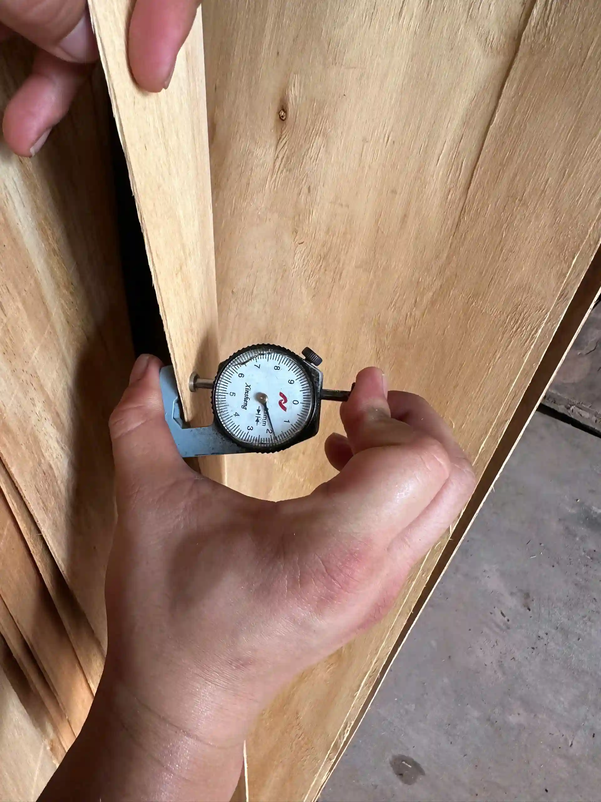 Vietnam plywood core veneer batch inspection — HCPLY QC process