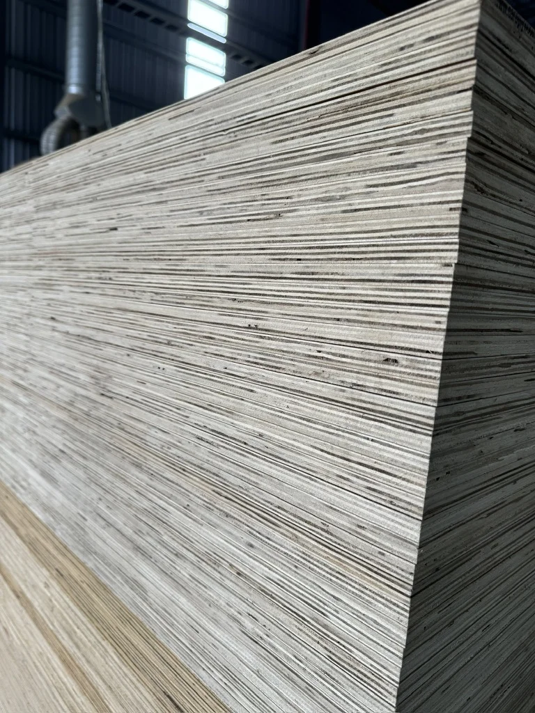 Acacia core plywood edge cross-section comparison — budget grade QC HCPLY