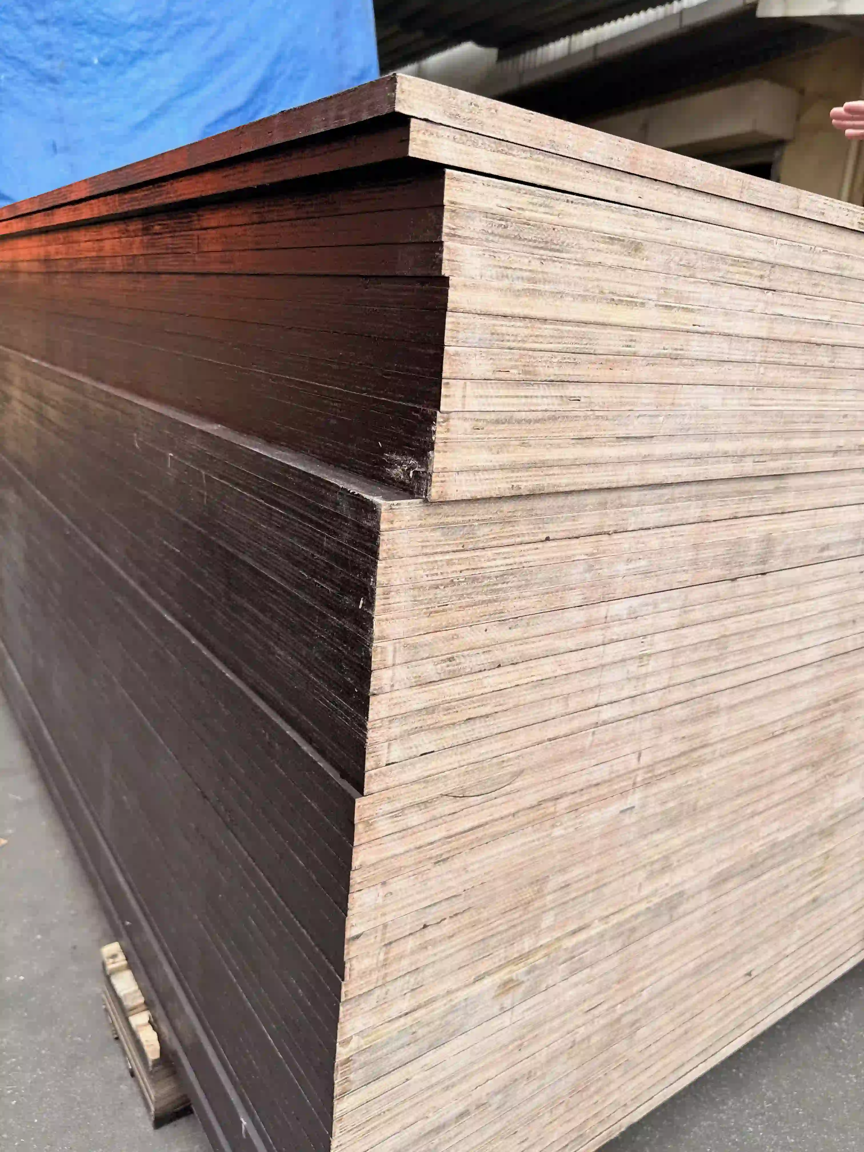 Construction plywood edge QC — Vietnam factory formwork grade inspection HCPLY