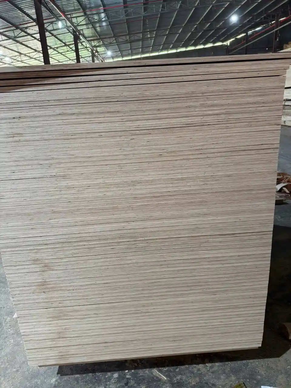 plywood edge quality inspection export standard hcply vietnam factory