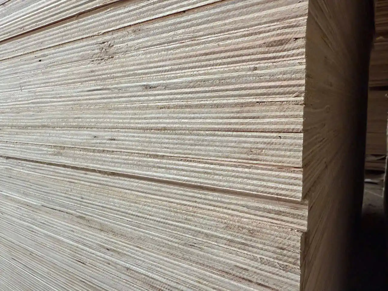 International buyer and HCPLY team conducting factory audit inspection at Vietnam plywood facility