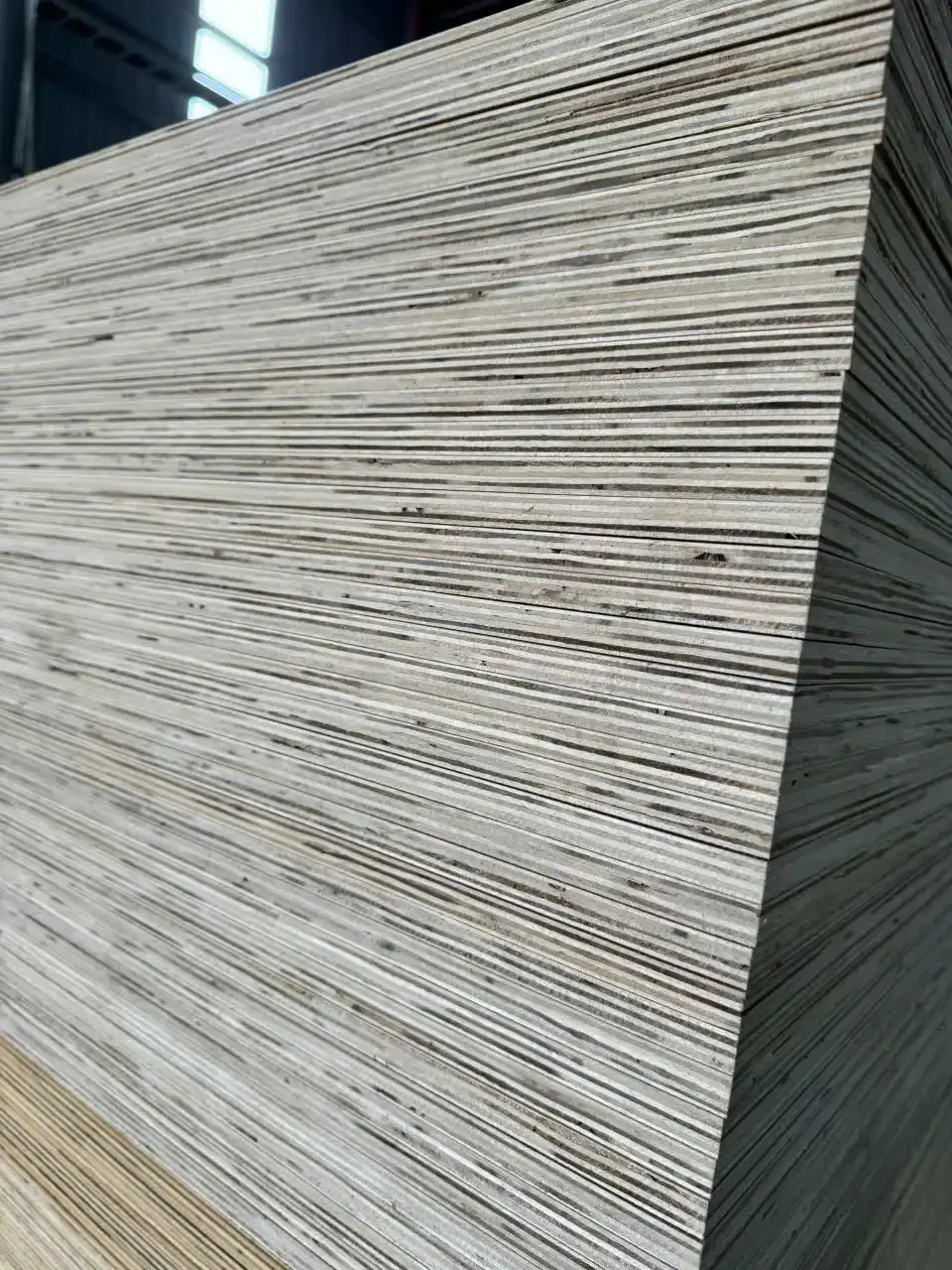 international buyers visit vietnam plywood factory hcply inspection