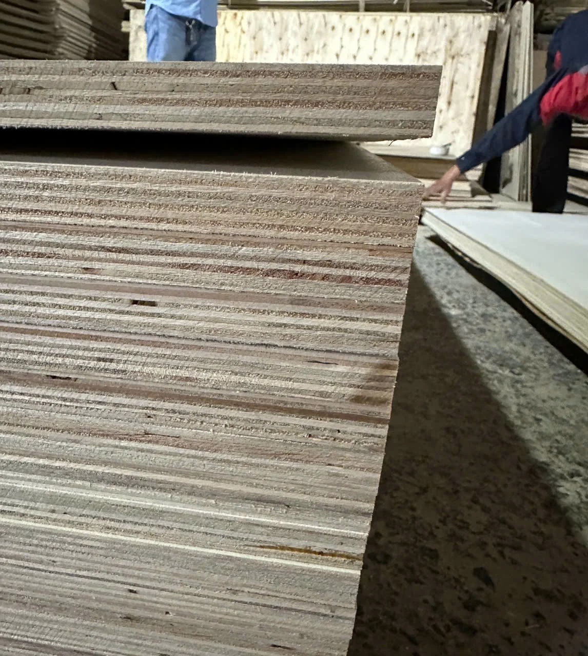 Plywood QC edge inspection Vietnam factory export standard HCPLY