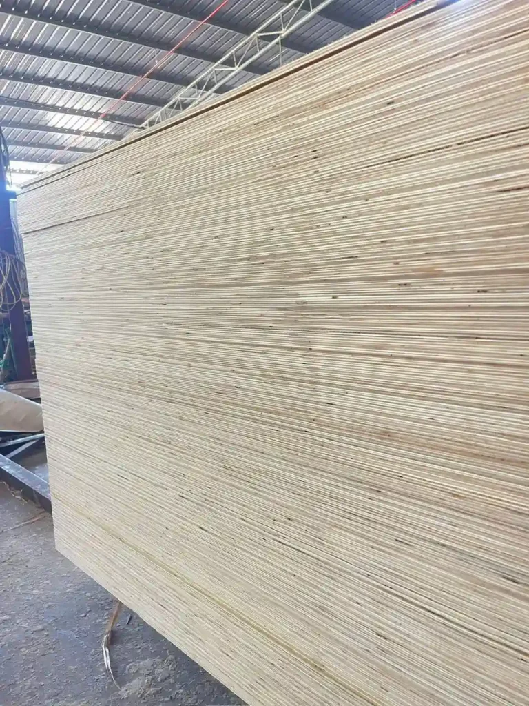birch plywood vietnam international supplier hcply