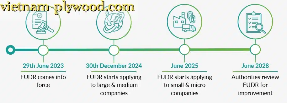 EUDR vs EUTR Explained What European Plywood Buyers Must Know Before Importing from Vietnam
