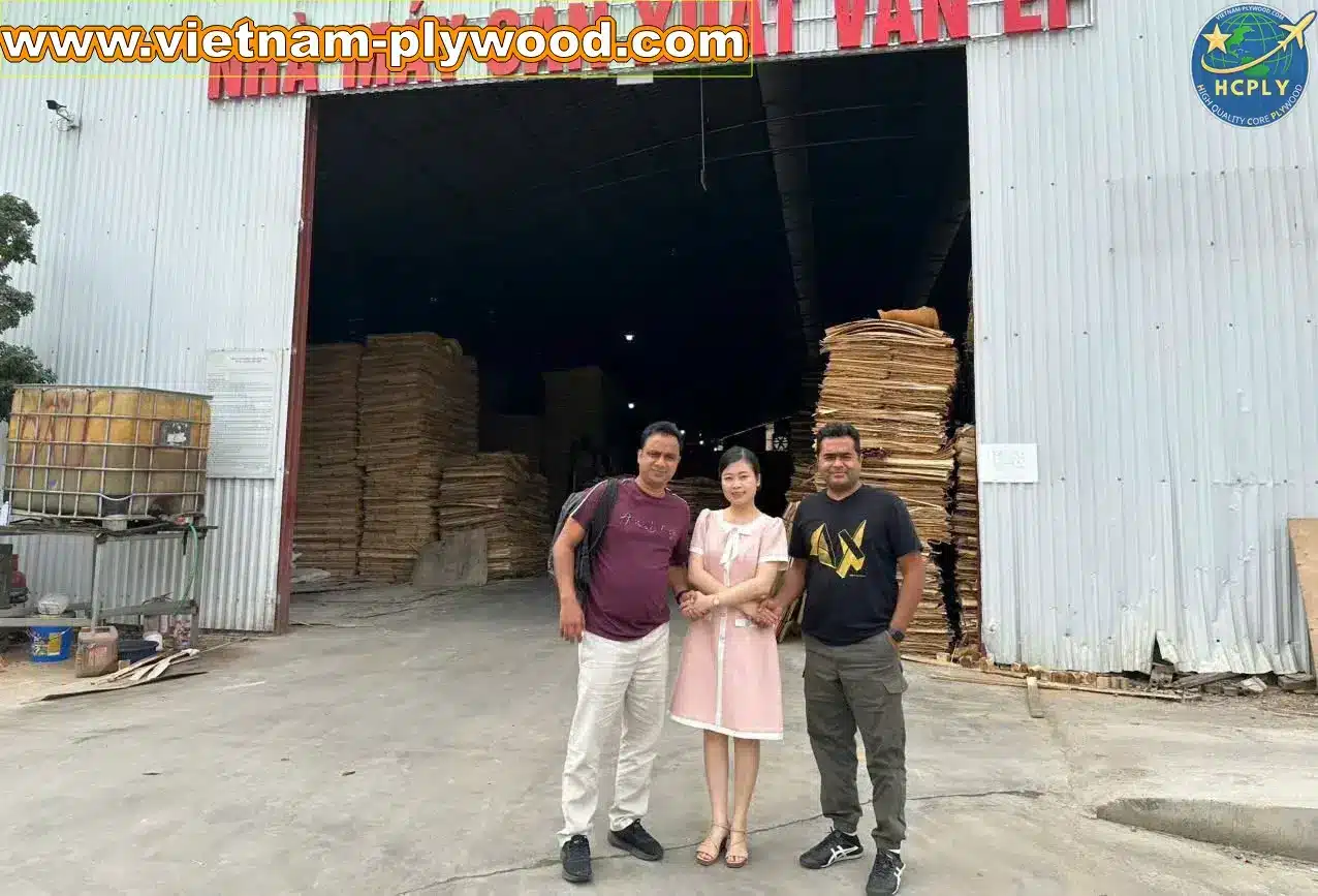 international buyers visit vietnam plywood factory hcply