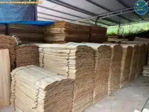 core veneer production line inside vietnam plywood factory hcply