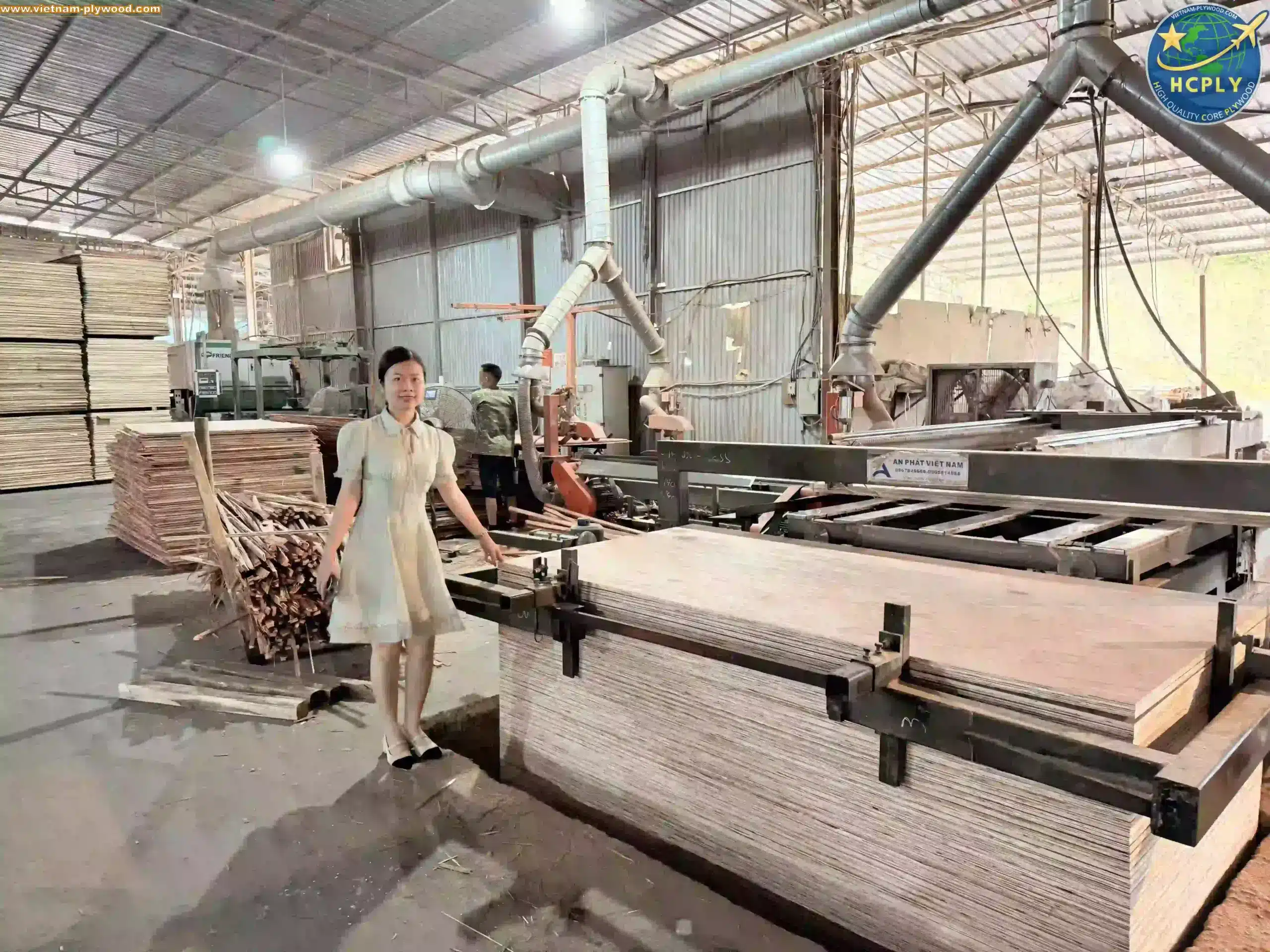 plywood sheet manufacturing vietnam plywood factory hcply