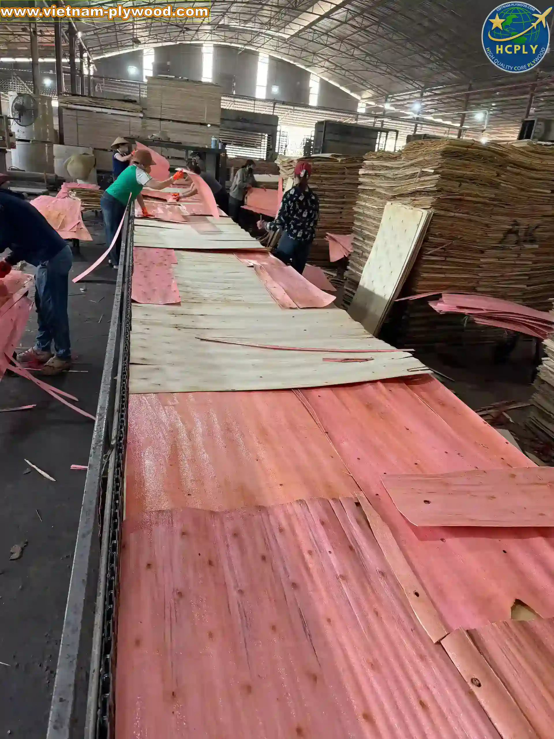 plywood sheet manufacturing vietnam plywood factory hcply