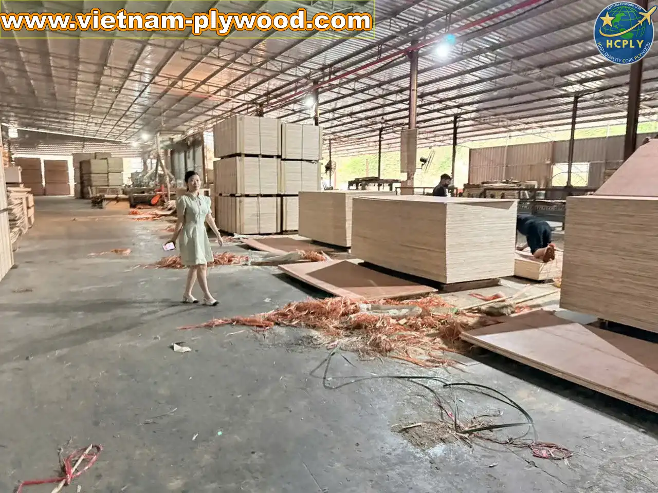 plywood sheet manufacturing vietnam plywood factory hcply