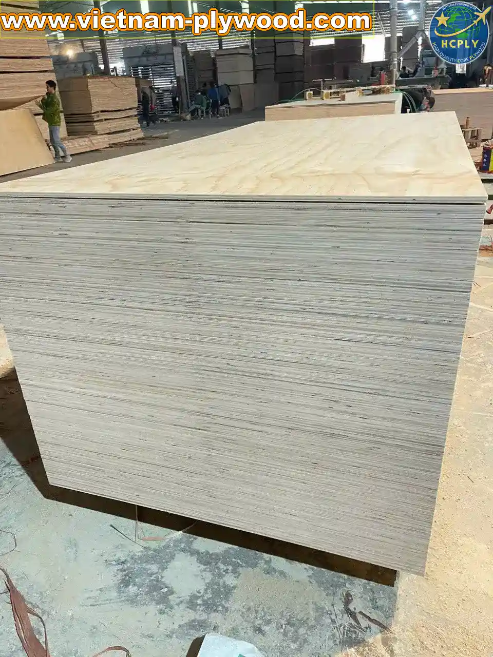 plywood edge quality inspection export standard hcply