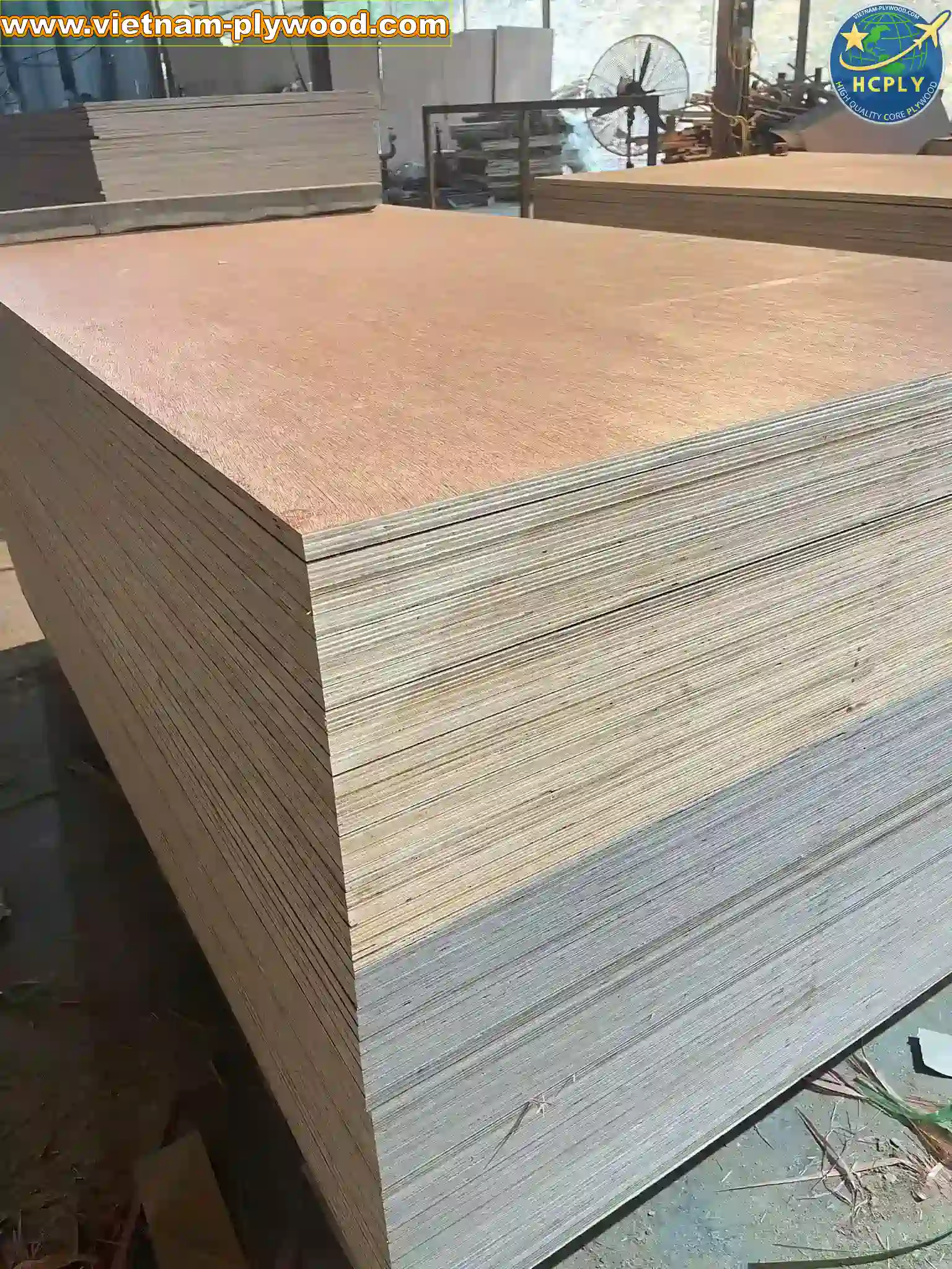 bintangor plywood vietnam export grade a furniture hcply