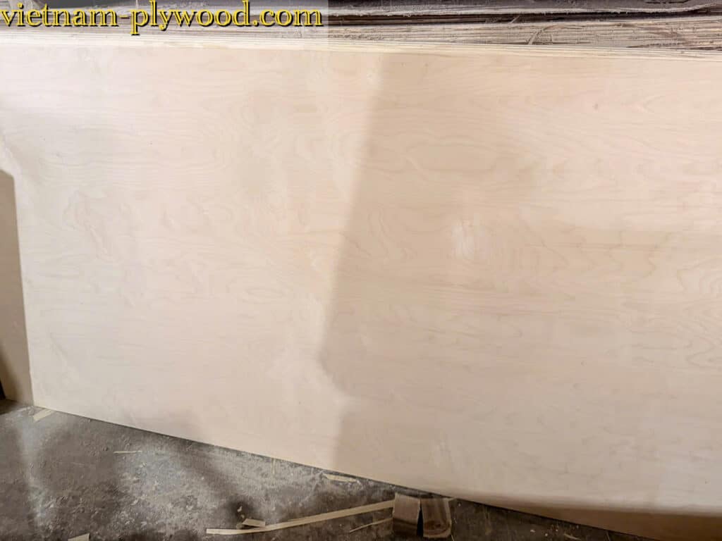 birch plywood vietnam export supplier hcply
