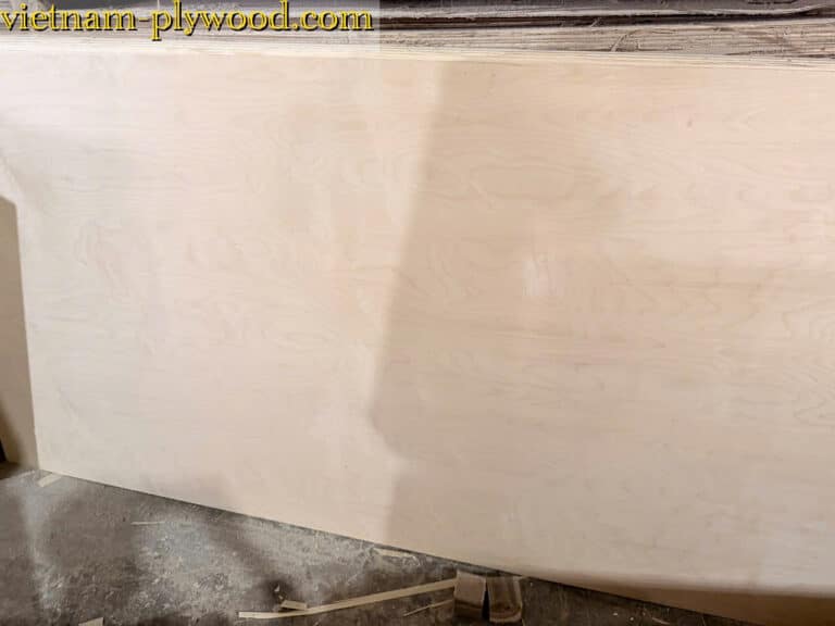 birch plywood vietnam export supplier hcply