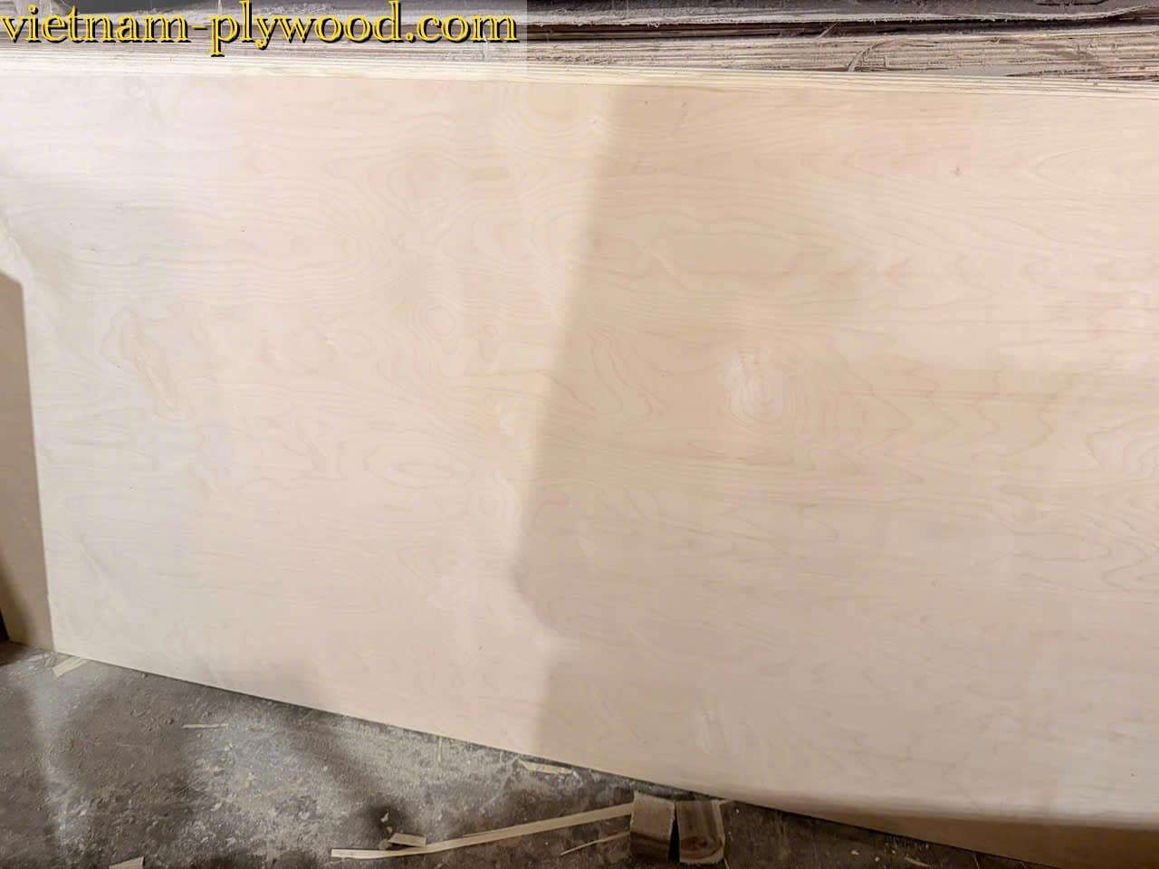 birch plywood vietnam export supplier hcply
