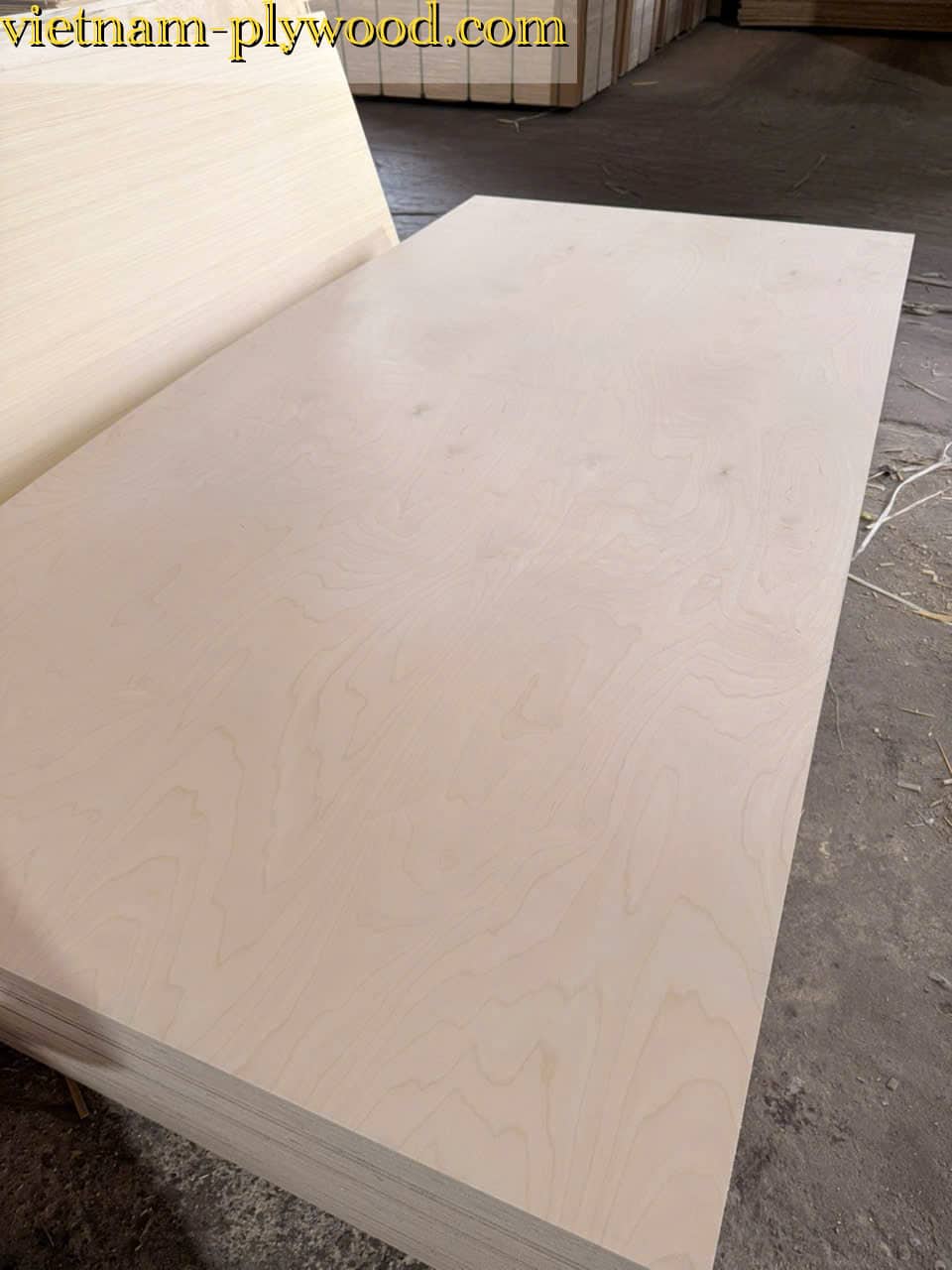 birch plywood vietnam export supplier hcply
