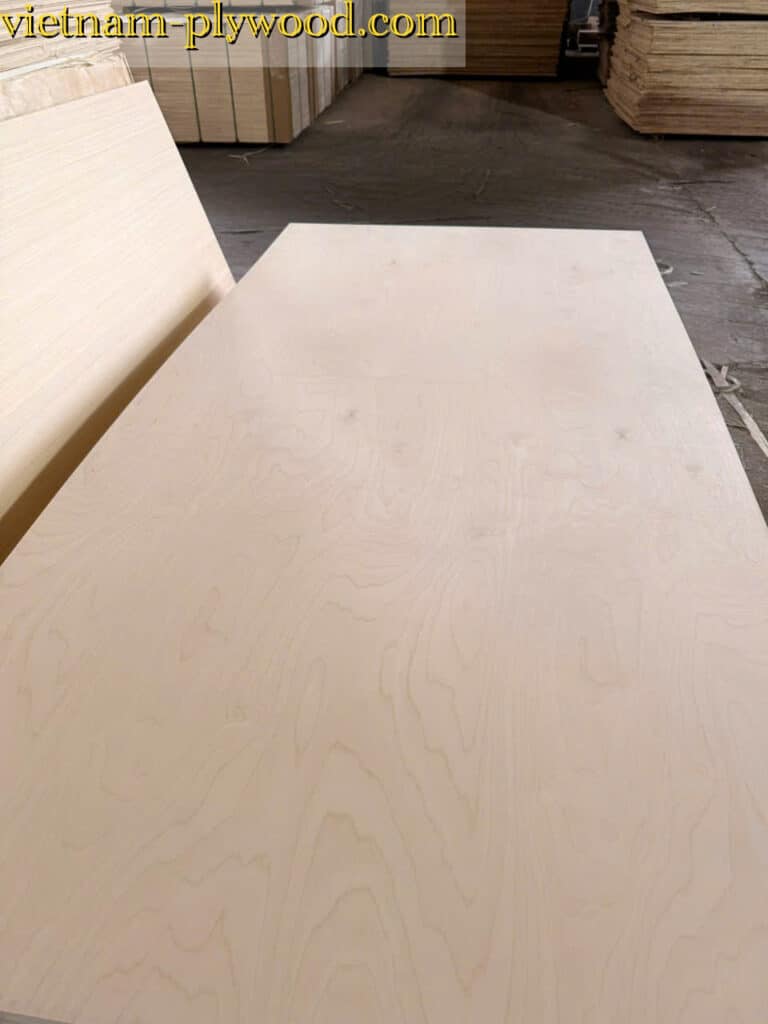 birch plywood vietnam export supplier hcply