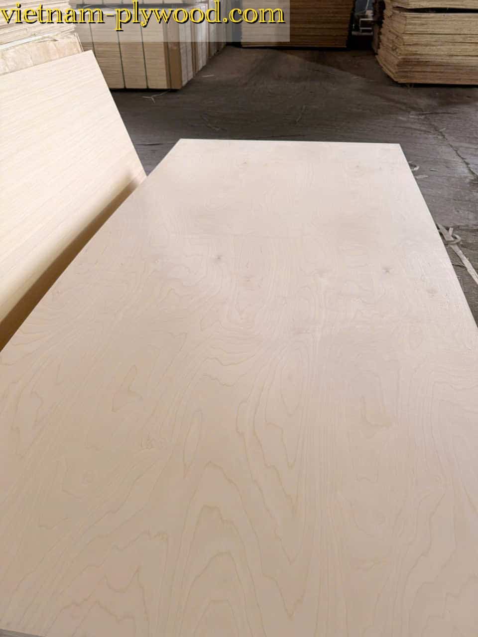 birch plywood vietnam export supplier hcply